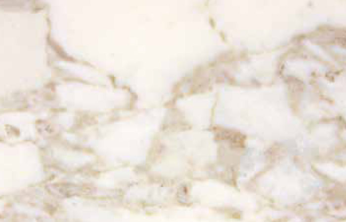 Calacatta Vagli
