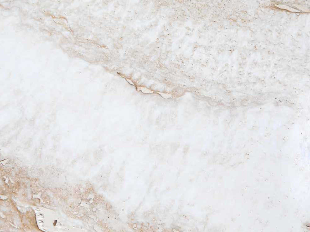 Travertino Super White